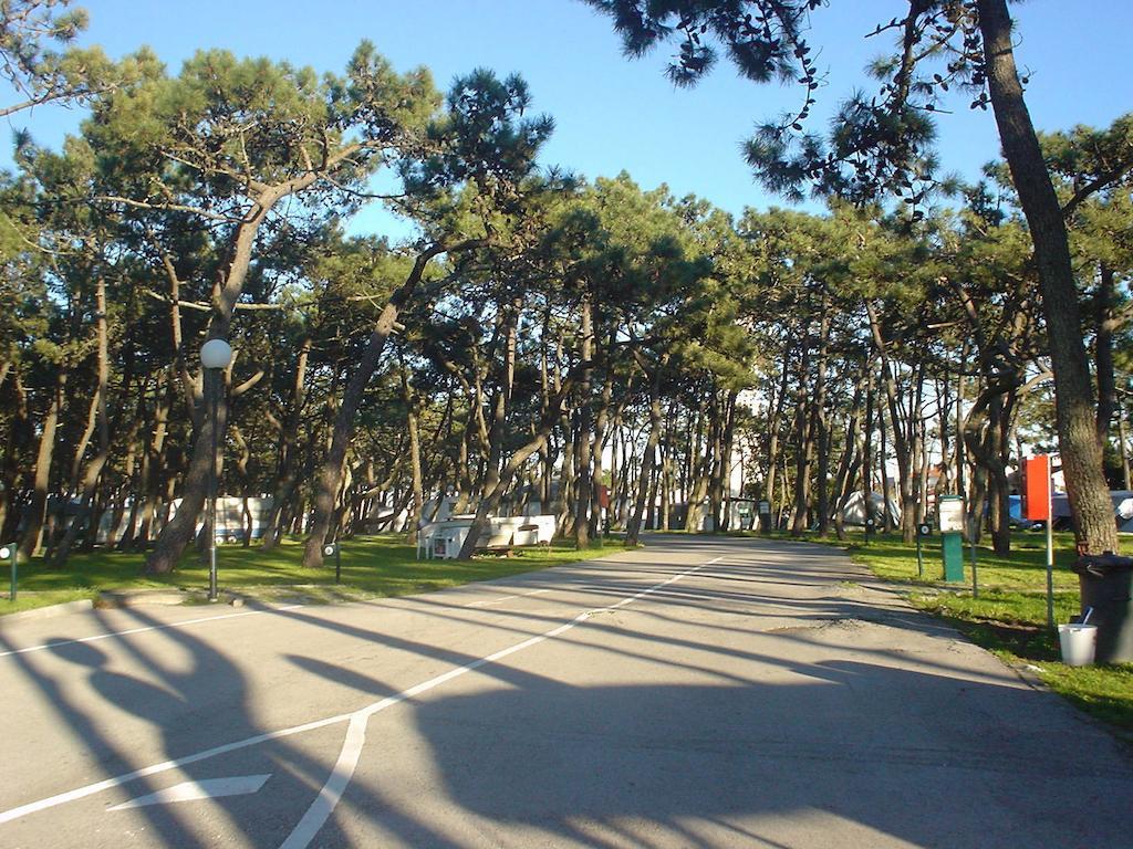 Parque De Campismo Da Praia Da Barra 가파나다나자레 외부 사진
