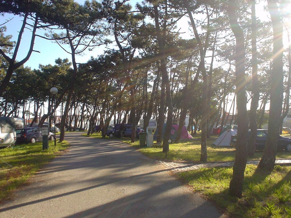 Parque De Campismo Da Praia Da Barra 가파나다나자레 외부 사진